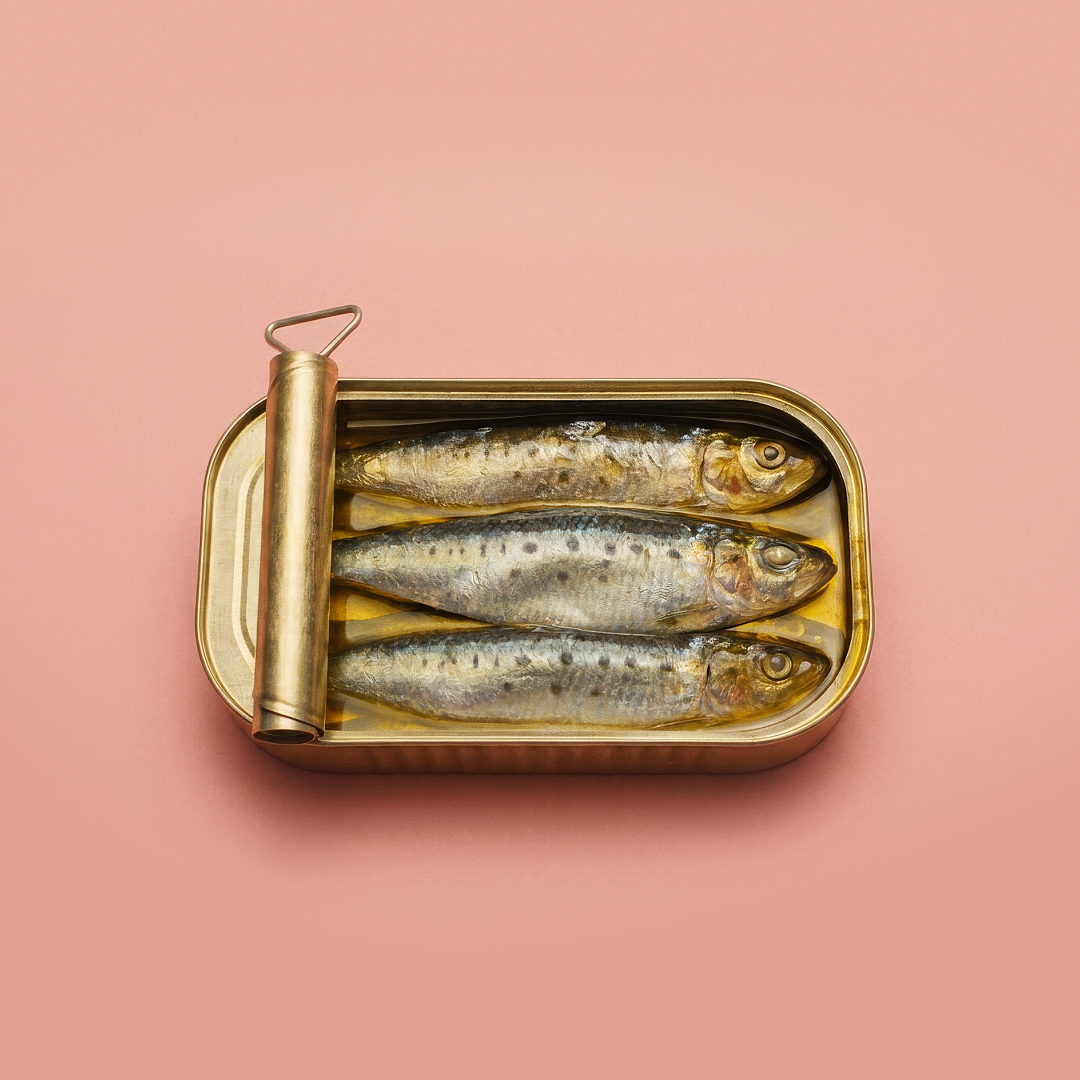 Sardines